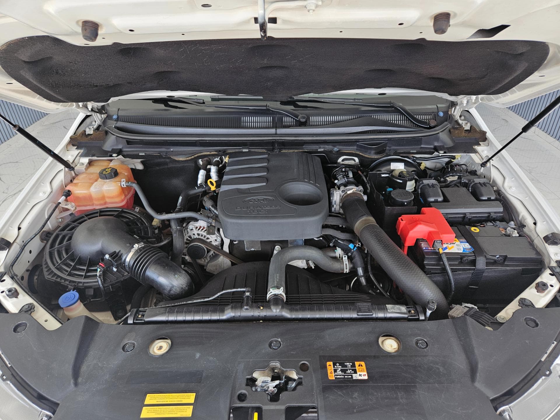 Ford Ranger Xlscd2a22 2019 miniatura 24