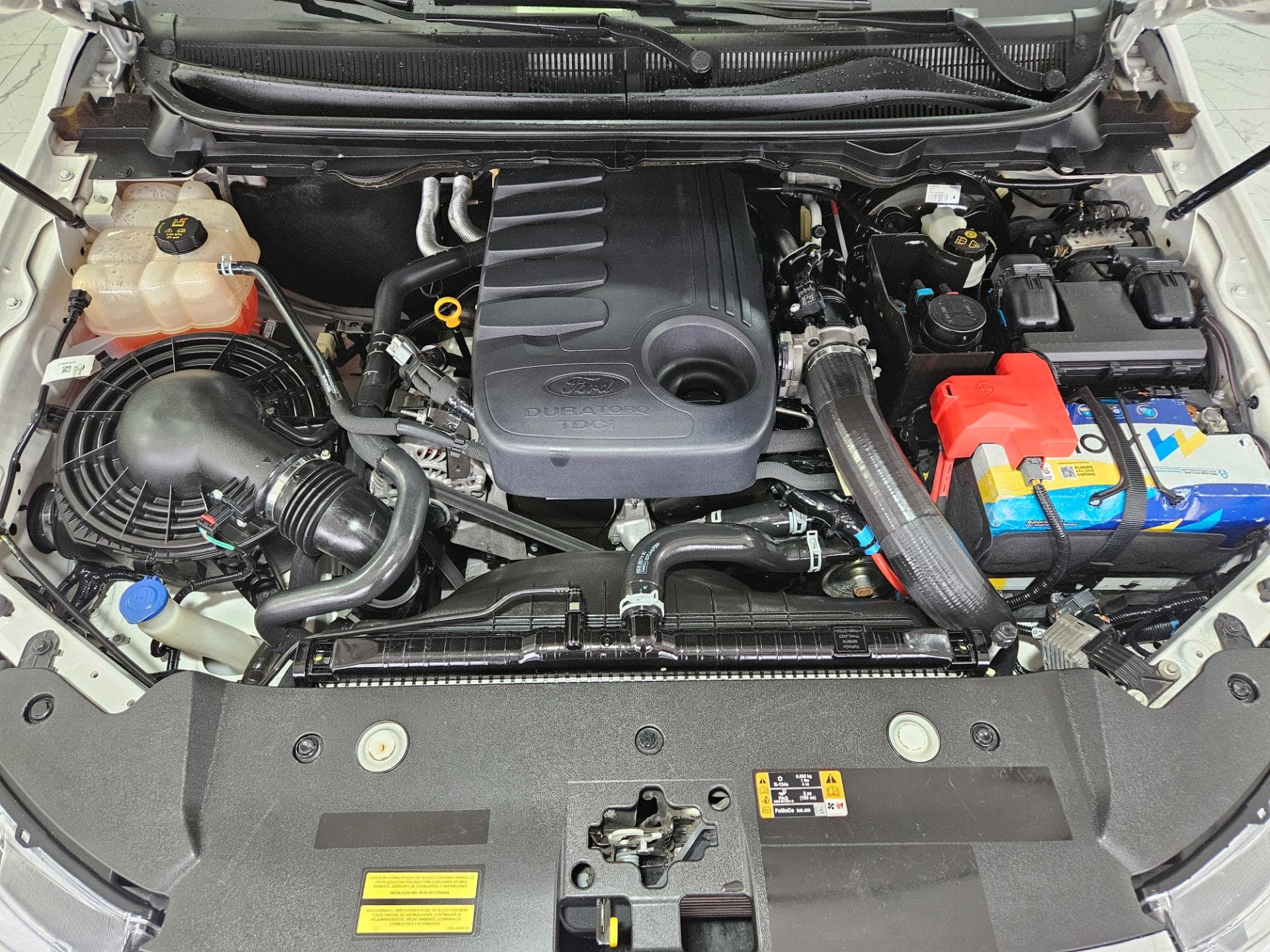 Ford Ranger Xltcd4a32c 2019 miniatura 25
