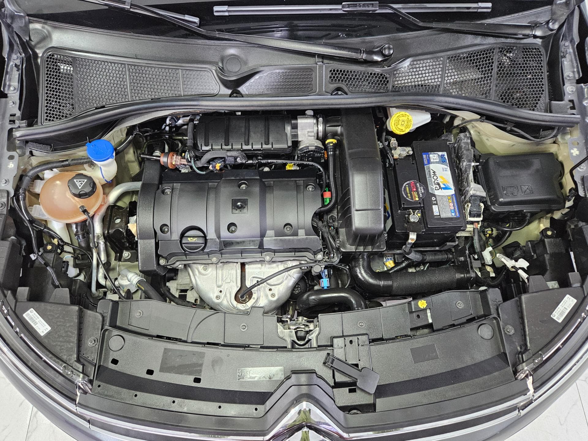 Citroen C4 Cactus 1.6 Live Aut 2022 miniatura 24